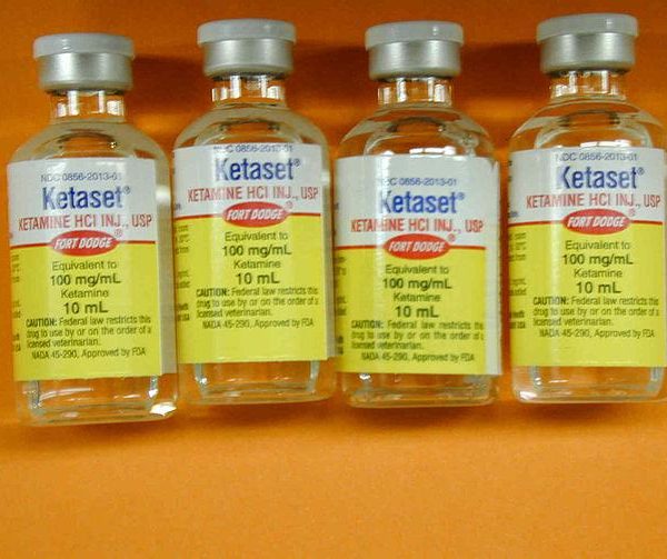 Ketaset 100 mg/ml